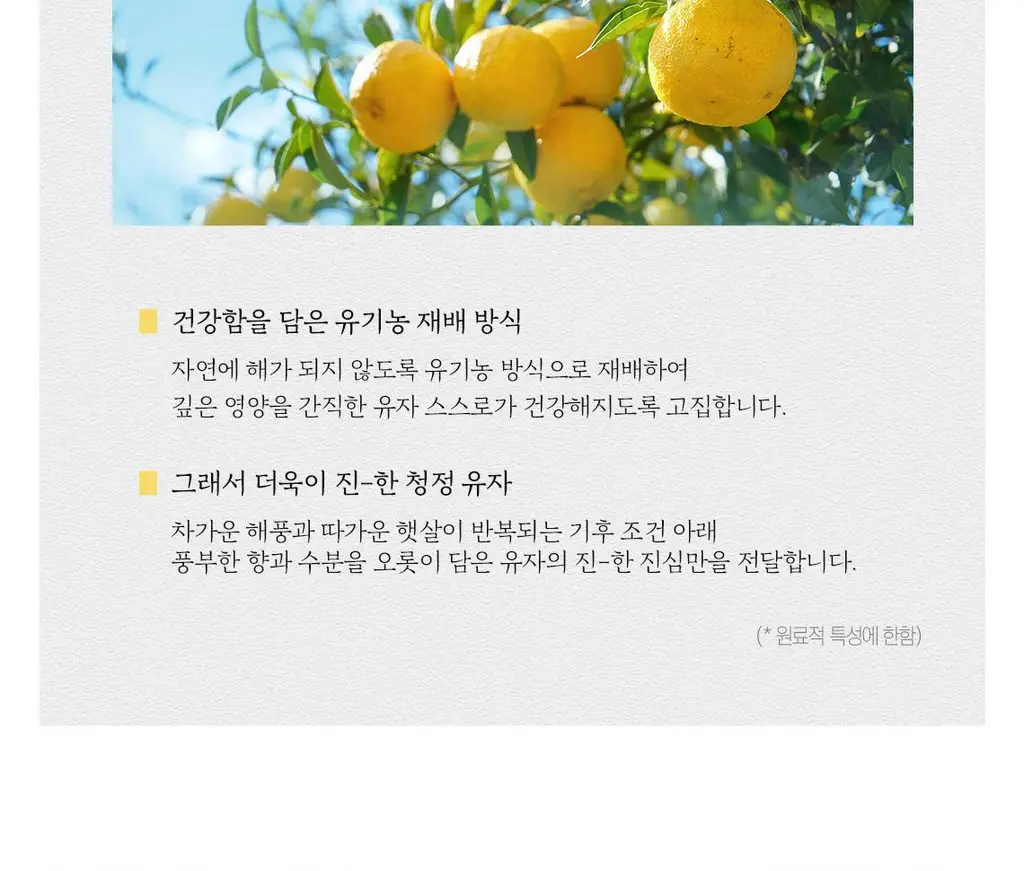 [5분 마스크팩] 스킨푸드 데일리 마스크 30매 6종 상세페이지 67